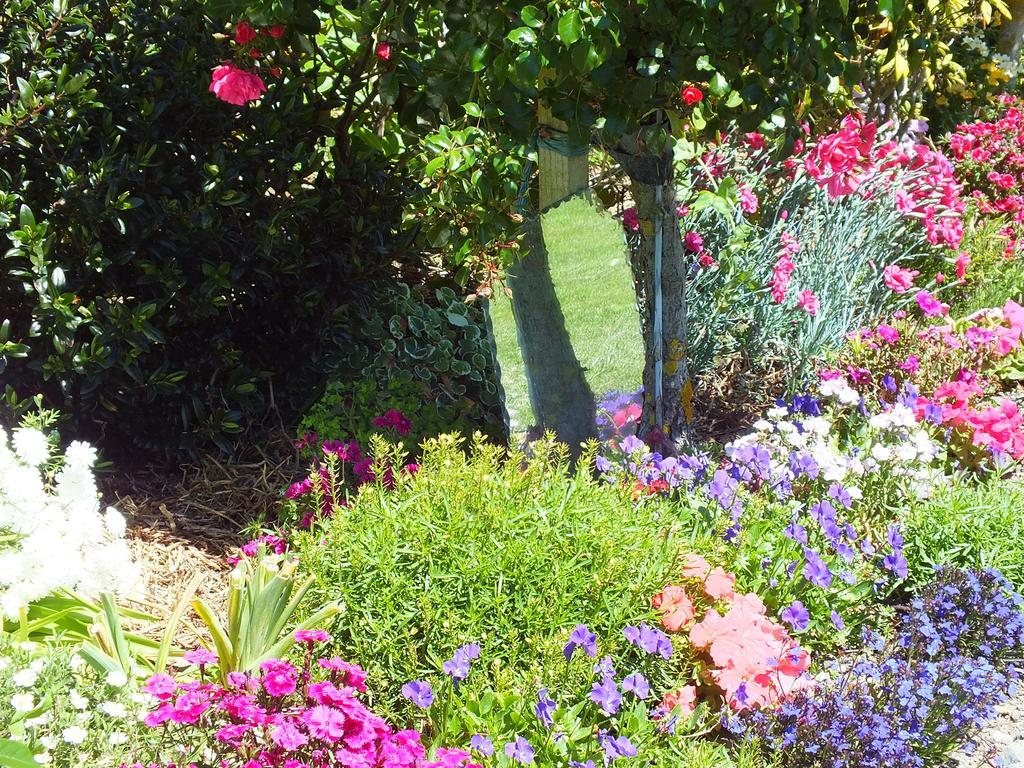 Austin Heights - Kaikoura Bed & Breakfast Dış mekan fotoğraf